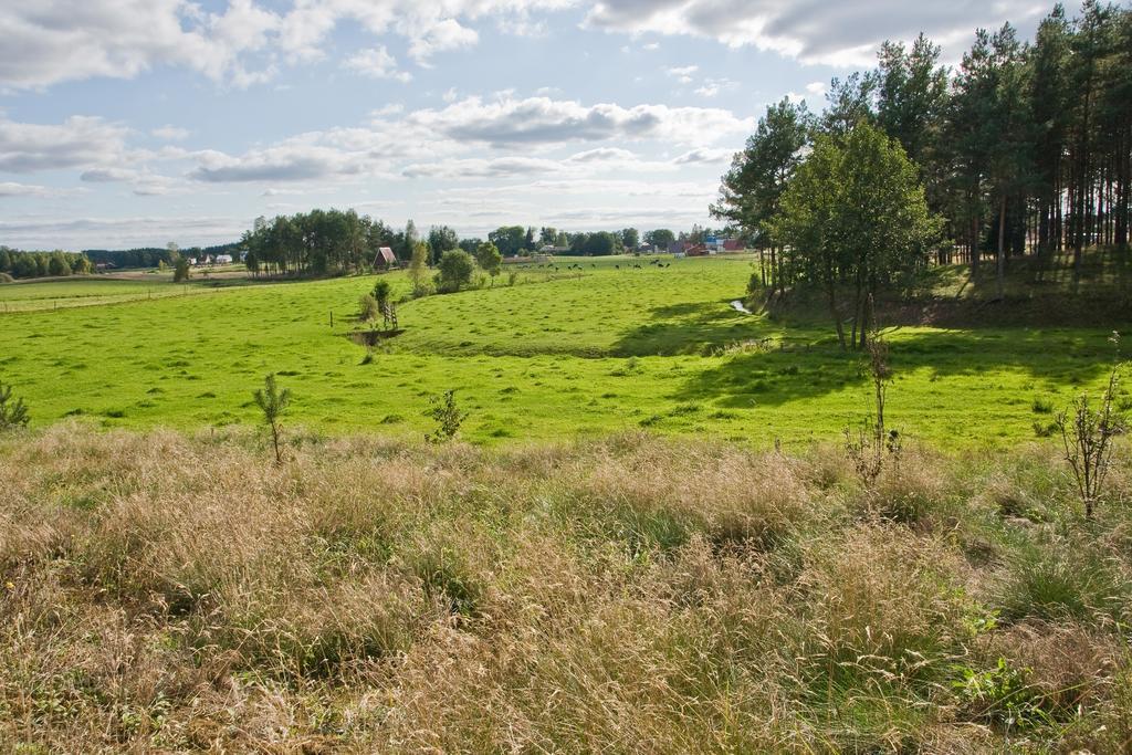 Agroturystyka Sominy Piotr Kültér fotó