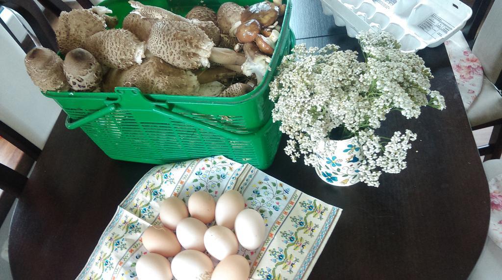 Agroturystyka Sominy Piotr Kültér fotó
